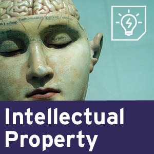 Intellectual Property.jpg