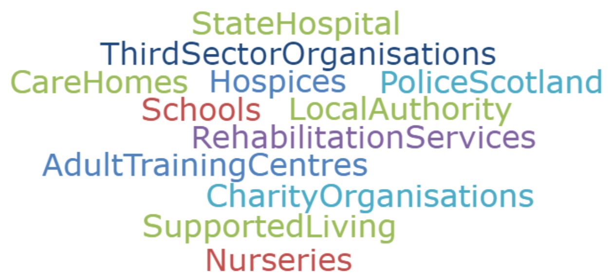 Non-NHS Partners Word Cloud
