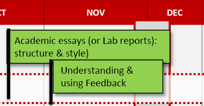 Year 1, tri 1: Academic Essays (or Lab reports) structure & style; Undertanding & using feedback.