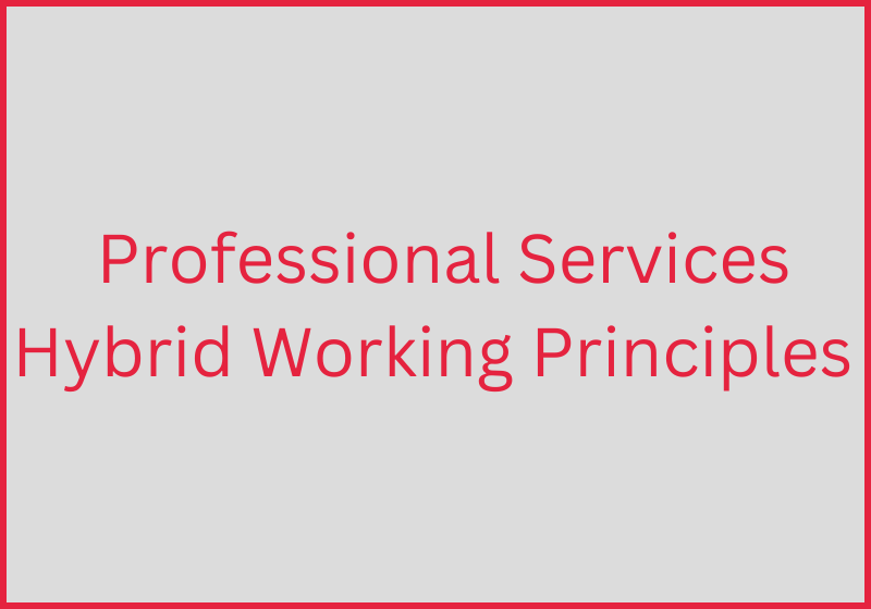 Professional Services Hybrid Working Principals