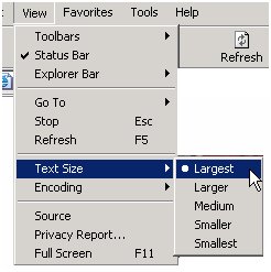 View drop down menu from Windows toolbar