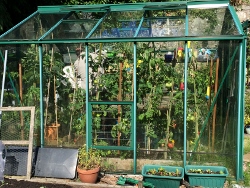 greenhouse (250x188).jpg